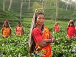 India falling in Coffee Production?